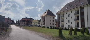Apartman Golija